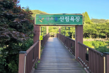 [여행] 오토캠핑장, 대전 상소동 산림욕장과 함께