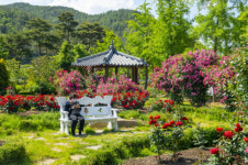 영동군 노근리평화공원 2022 정원축제 개최