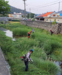 보은군 속리산면 사내4리 마을회, 주민화합 대청소 실시