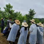 충북교육연구정보원, 청렴 봉사활동 실시