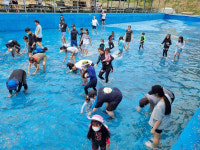 부여에서 즐기는 다섯 가지 즐거움, 야영장 북적