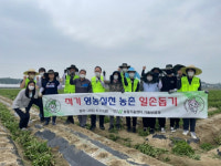 청주시농업기술센터, 감자 줄기 제거 일손돕기에 구슬땀