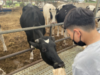 봉명초, 다래목장에서 함께 하는 지역사회 체험활동 참여해