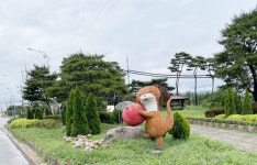 충주는 정원도시로 탈바꿈 생활 속 정원 조성 추진