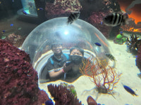 보은  판동초송죽분교장, 여름학교 체험활동 실시