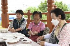 [카메라뉴스] 2022 영동금강모치마을 제7회 블루베리 축제