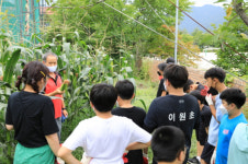 이원초 학교 텃밭, 아이들의 생태전환교육 놀이터가 되다