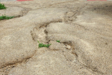 [신문고] 코스모스로 단장한 옥천군 이원면 장찬리 고래마을의 깊은 고민