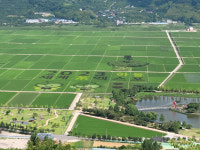 평사리 황금들판에 하동세계茶엑스포 성공기원 들녘아트