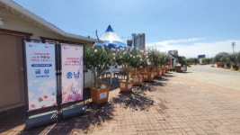 충남 무궁화 제32회 전국 품평회서 금상