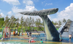 청주시, 생명누리공원 물놀이장 인기리에 폐장