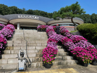 2022 직지문화제 맞아 고인쇄박물관 주변 환경정비
