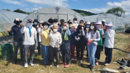 충남보건환경연구원 수해농가 일손돕기