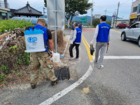 바르게살기운동영동군협의회, 법질서 및 자연보호 캠페인 개최