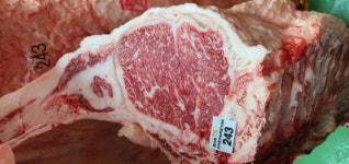 충남 한우 전국한우능력평가대회서 빛났다