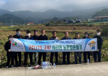 사리면사무소 직원들 농손 일손돕기 실시