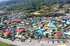 [영상뉴스] 옥천군, 청산면 백운리 500개 국화화분 전시회