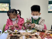 보은 판동초, 숲속 친구들을 만나는 행복한 생태 체험