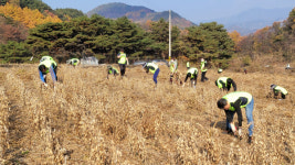 단양장례봉사회 | 단양교육지원청, 농촌 사랑 나눔 봉사활동 실시