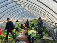 음성군 미담사례[11월20일]