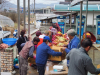 영동군 양산면 봉곡리 마을만들기 추진위원회, 소외계층 위한 김장나눔