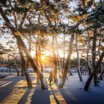자연치유도시 제천, 중부권 캠핑성지로 우뚝