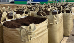 세계중요농업유산 하동녹차 凍害 예방 총력