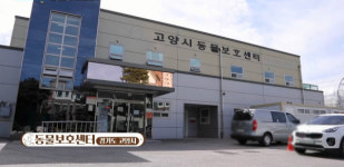 사람과 동물이 함께 행복한 도시, 고양시