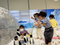 [영상 /사진] 유성구, 아이파크 샤인 어린이집 이글루와 함께하는 놀이