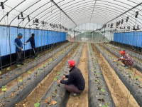 보은군, 농림축산식품부공공형 외국인 계절근로운영센터충북 최초 선정