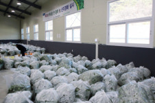 봄 향기 물씬하동 취나물 출하 시작