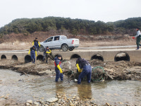 안동시, 도산서원 앞 세월교에 걸린 폐그물 일제 수거