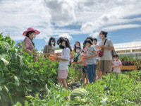 충북농기원, 농촌교육농장 운영자 교육 실시