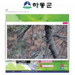 화개 십리벚꽃길 개화상황 실시간 확인하세요