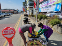 영동군 매곡면주민자치위원회, 봄꽃으로 버스정류장 새단장