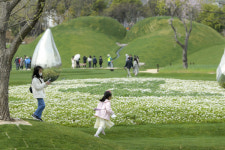 2023순천만국제정원박람회 프레오픈, 3만명 관람객 북새통