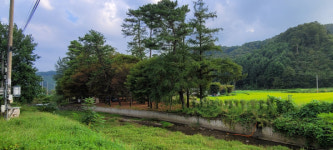청주시, 대덕숲유원지 안전을 위한 시설 보수 실시