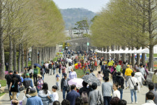 전국 상춘객 순천에 다 모였네, 정원박람회에 구름떼 인파 11만명(16시 기준)