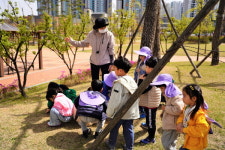천안꽃마루유치원 유치원 앞 공원에서 찾은 봄의 흔적 자연 놀이