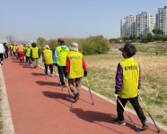 노르딕 워킹, 올바르게 걷고 전신운동 효과까지 한 번에!