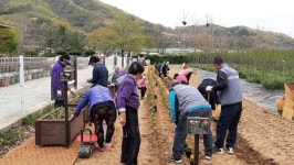 군북면 이백1리, 어르신들 소일거리 발굴로 마을 활력 기대