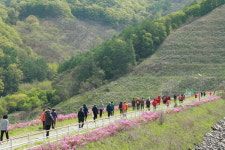 보은군 내북면, 2023 궁저수지 둘레길 면민 걷기대회 열려