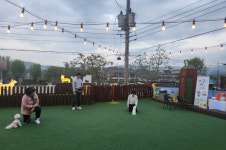 영동군가족센터, 서당개 1인 가구 소통의 장 마련