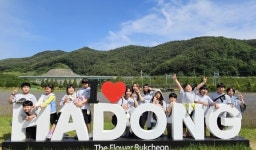 하동 북천초, 2023 북천 꽃양귀비축제 및 하동세계차엑스포 체험활동