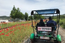 하동 궁항초, 동행학교 친구와 함께하는 하동 오감길…꽃양귀비축제·레일바이크 체험