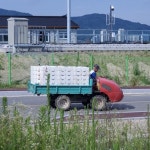 [이 사람] 햇사레 복숭아 정가용 가람농원 대표의 귀농일기