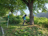 은산면 새마을지도자협의회, 도로변 제초 작업 나서