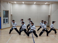 수한초에 찾아온 태권한류
