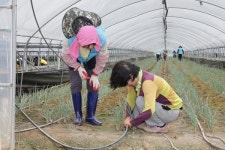 청주시, 집중호우 피해복구·조사에 행정력 총동원