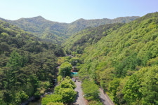 부여군, 만수산자연휴양림 군민우선예약제 시행